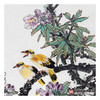 杨秀泽《春之声》68*68cm 花鸟斗方作品 餐厅/卧室挂画 商品缩略图4