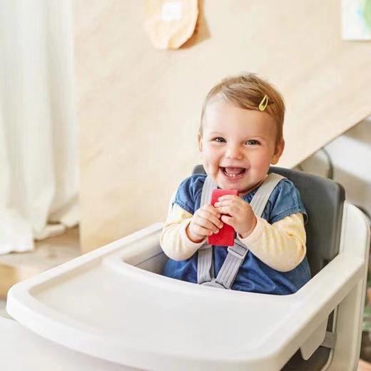 荷兰NUNA zaaz 儿童餐椅婴儿餐桌椅多功能升降成长型时尚摩登 商品图4