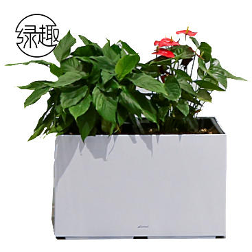 508红红火火02 商品图0