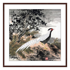 杨秀泽《晨曲》68*68cm 花鸟斗方作品 餐厅/卧室挂画