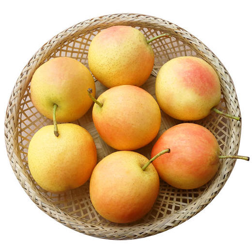 正宗东北特产南果梨 新鲜水果梨5斤装包邮当季梨香水梨鞍山南国梨