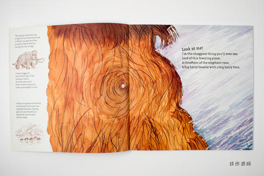 woolly mammoth 猛犸象