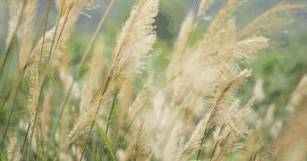 白露 | 抓住一年中的黄金美容季，皮肤嫩到可以掐出水 商品图0