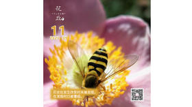 【花丘•心语】