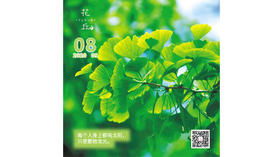 【花丘•心语】