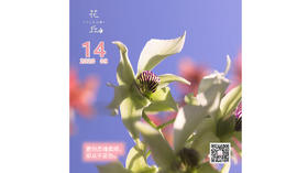 【花丘•心语】