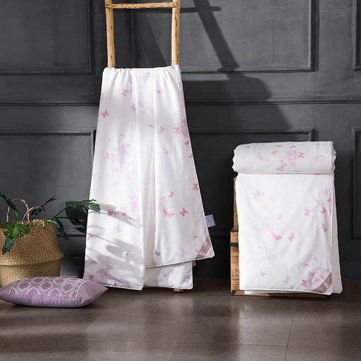 太湖雪风尚型二合一四季被1+3 商品图1