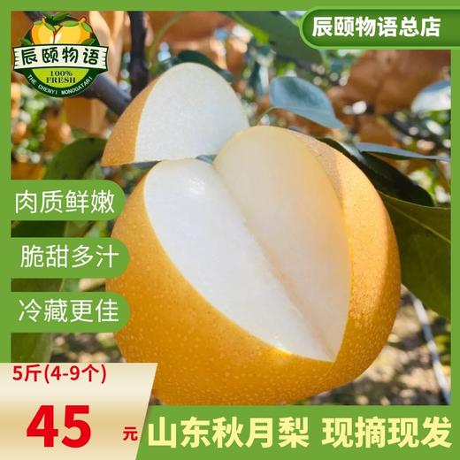 山东秋月梨5斤新鲜应季水果青岛产地直供现摘现发包邮 商品图4