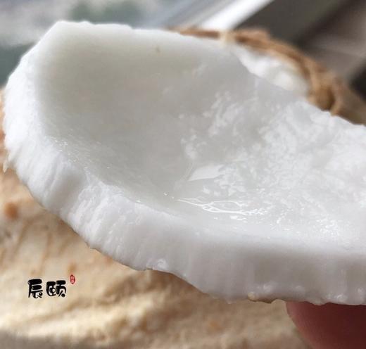 泰国牛奶椰青4个进口当季热带水果椰汁香甜现摘现发包邮 商品图0