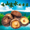 林中宝 粤北香菇 鲍鱼的口感 Q弹嫩滑 全国非偏远地区包邮 商品缩略图3