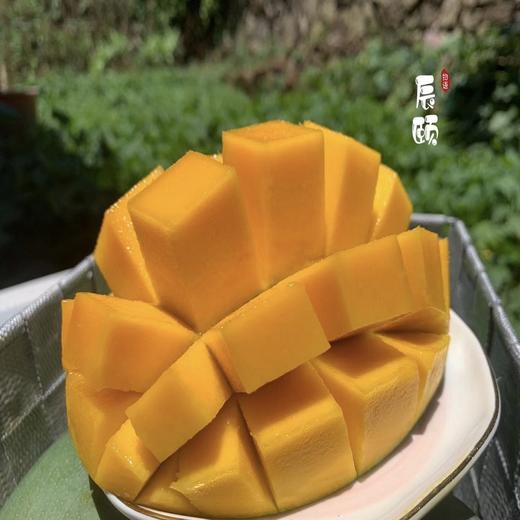 凯特芒7斤四川攀枝花大脸芒新鲜应季水果现摘现发包邮 商品图2