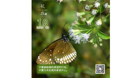 【花丘•心语】