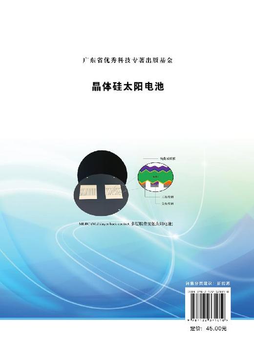 新能源系列 晶体硅太阳电池 沈辉 普通高等教育十三五规划教材 高等院校相关专业教材 光伏技术硅片生产技术 晶体硅电池生产及工艺 商品图1