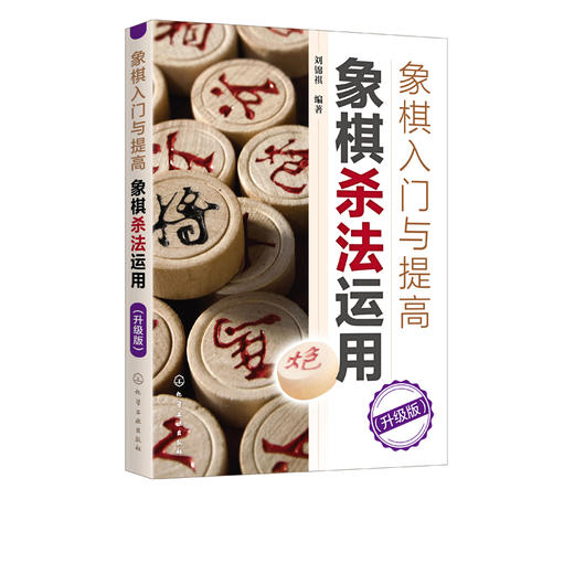 象棋入门与提高 象棋杀法运用 升级版 残局杀棋思路 杀法定式象棋实战技巧中国象棋教程棋牌象棋书籍 象棋入门读者书籍 象棋畅销书 商品图5
