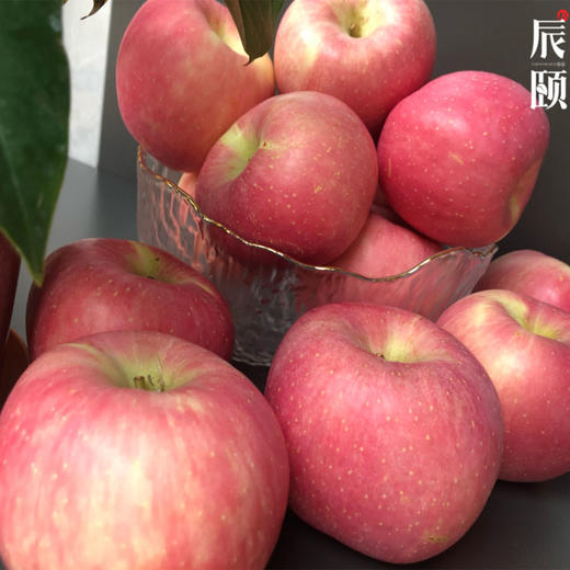 陕西铜川产地直供玉华早熟富士新鲜应季水果现摘现发包邮 商品图1