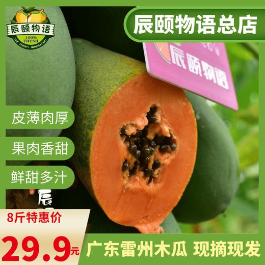 雷州木瓜8斤冰糖红心青皮现摘现发当季水果新鲜包邮 商品图4
