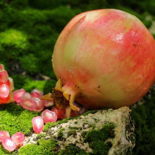 蒙自观颜石榴5斤红籽新鲜应季水果产地直供现摘现发包邮 商品图2