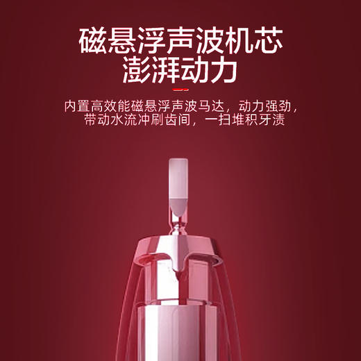 【蒂颂尼DSN-G1声波无线感应电动牙刷、2支装】充电声波清洁口腔护理牙刷 商品图4