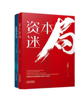 资本迷局+融资风云  王国进著