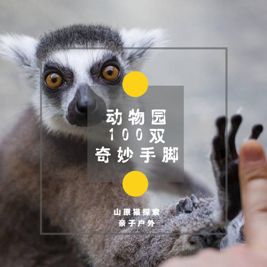 「9月19日 周六下午」神奇的演化构造 · 动物园里的100双手脚 商品图0