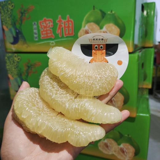 本地东试早 柚子 泡果 商品图5