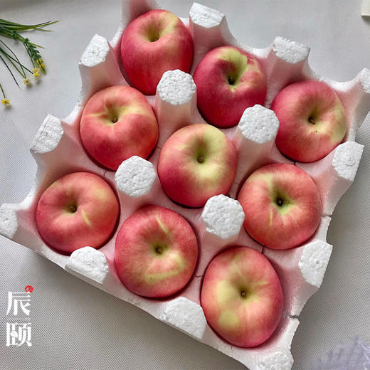 陕西铜川产地直供玉华早熟富士新鲜应季水果现摘现发包邮 商品图3