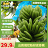云南威尼斯自然熟绿皮香蕉5斤新鲜应季水果现摘现发包邮 商品缩略图4