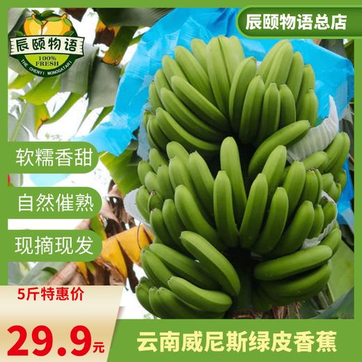 云南威尼斯自然熟绿皮香蕉5斤新鲜应季水果现摘现发包邮 商品图4
