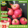 陕西铜川产地直供玉华早熟富士新鲜应季水果现摘现发包邮 商品缩略图0