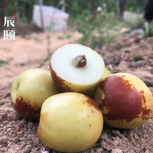 陕西大荔庙上冬枣2斤装核小肉厚甜度高新鲜现摘 商品图0