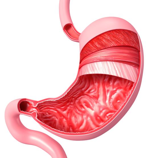 第02课：胃经线路及重要穴位 商品图0