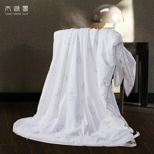 太湖雪纯净睡眠桑蚕丝被 商品图0