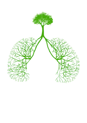 第01课：肺经线路及重要穴位.m4a