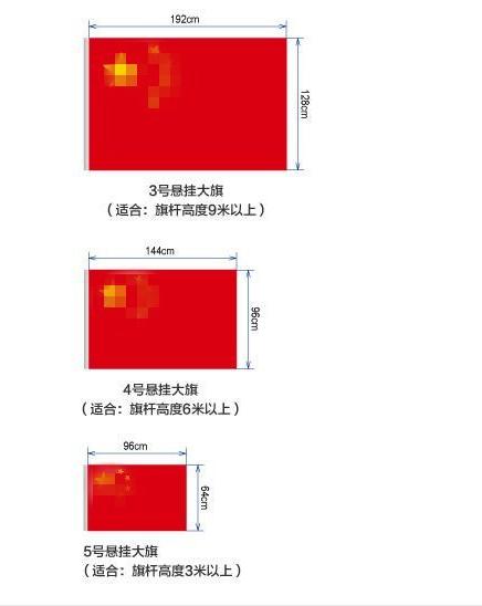 国旗党旗 商品图2