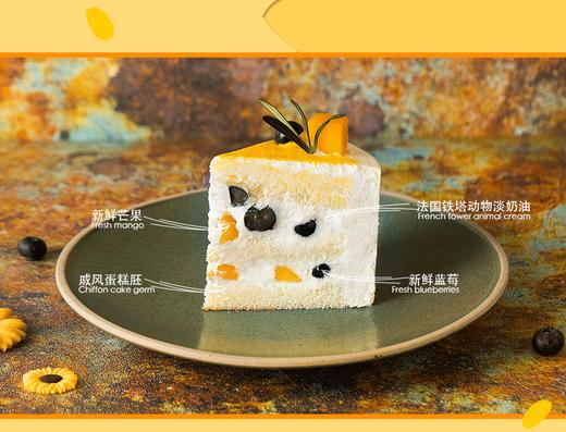 【立省30~90元】教师节专款 - 晨曦·蓝莓芒果软忌廉，念念不忘引路人 商品图2