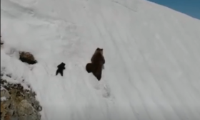  【好看】这个视频里“熊”孩子的妈妈，告诉了我们什么？ 