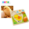 鸡成长儿童益智拼图 商品缩略图2