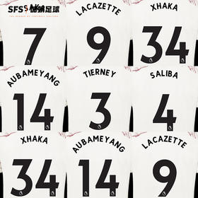 SFS 20-21阿森纳联赛客场黑色印号 球员印号（非球衣链接）