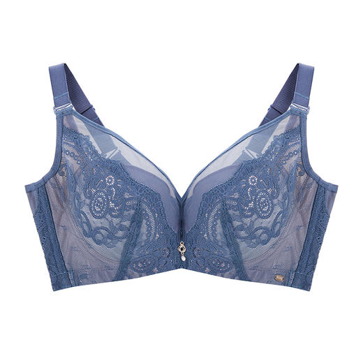 皇家丽美侧收副乳聚拢调整型内衣性感蕾丝中厚文胸WJ025-2 商品图5