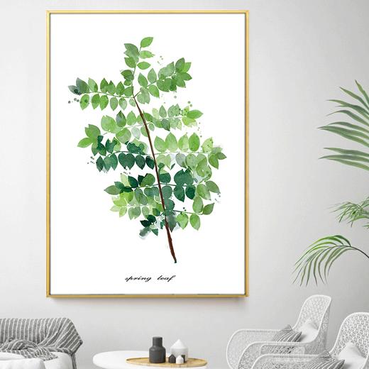 森林里2 商品图0