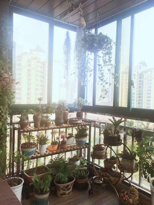 花开，花落........ 商品图0