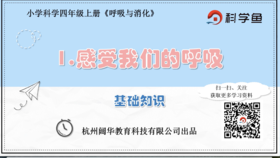 4.2.1《感受我们的呼吸》基础课程