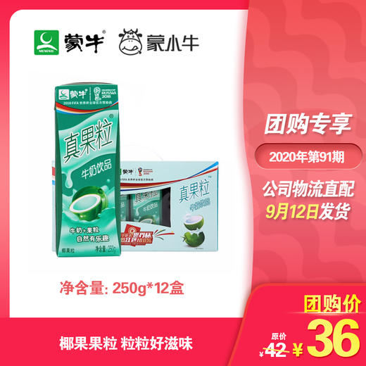 真果粒椰果粒250g×12盒 商品图0