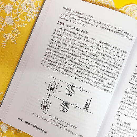 静态顶空-气相色谱理论与实践 商品图5