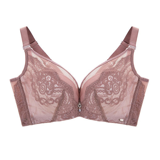 皇家丽美侧收副乳聚拢调整型内衣性感蕾丝中厚文胸WJ025-2 商品图4