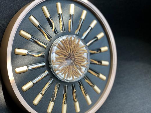 虫草礼盒--3000头22克 商品图2