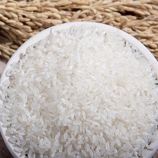 【柴火大院 有机五常稻花香】10斤/礼盒 商品图3