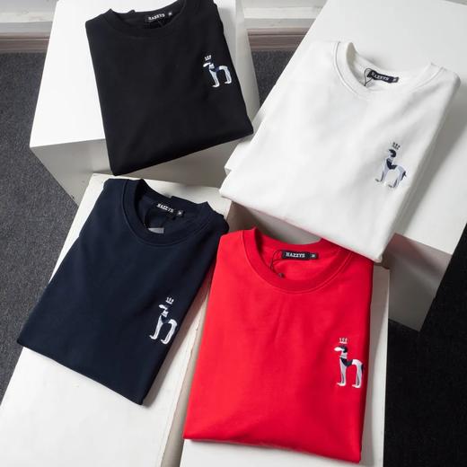 干净，巨好看！Haz*ys/哈J斯秋季新款男士休闲上衣韩版时尚休闲圆领套头卫衣潮流男装长袖衫 商品图1