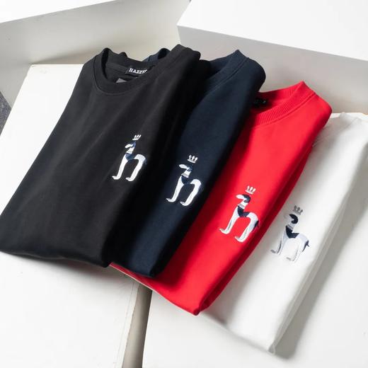 干净，巨好看！Haz*ys/哈J斯秋季新款男士休闲上衣韩版时尚休闲圆领套头卫衣潮流男装长袖衫 商品图2