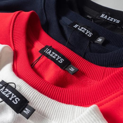 干净，巨好看！Haz*ys/哈J斯秋季新款男士休闲上衣韩版时尚休闲圆领套头卫衣潮流男装长袖衫 商品图4